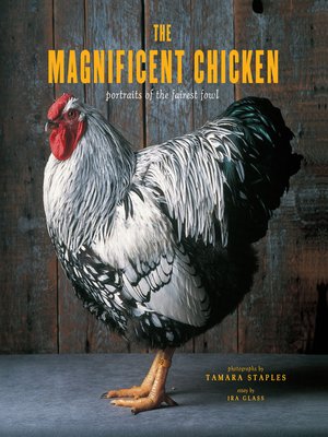 The Magnificent Chicken - ebook